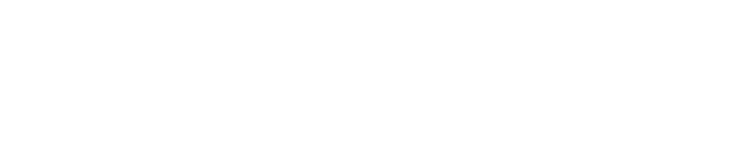 7 Páginas
